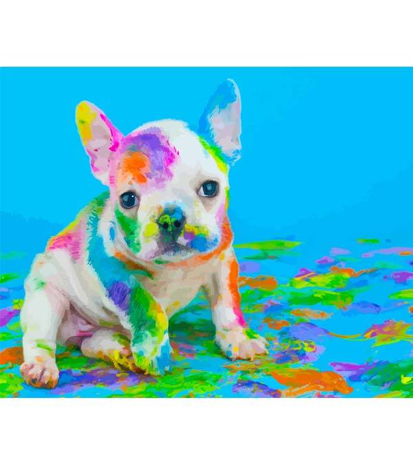 Playful Bulldog Paint by Numbers - Art Providore