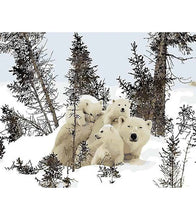 Load image into Gallery viewer, Polar Bear Family Paint by Numbers - Art Providore