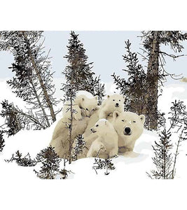 Polar Bear Family Paint by Numbers - Art Providore