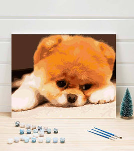 Pomeranian Puppy Paint by Numbers - Art Providore