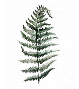 Pteridium Plant Paint by Numbers - Art Providore