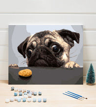 Load image into Gallery viewer, Pug Wants the Cookie Paint by Numbers