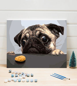 Pug Wants the Cookie Paint by Numbers