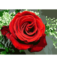 Load image into Gallery viewer, Red Rose Paint by Numbers - Art Providore