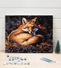 Load image into Gallery viewer, Resting Red Fox Paint by Numbers - Art Providore