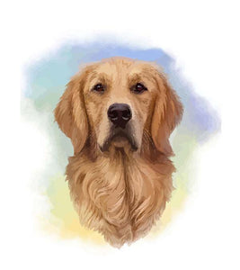 Retriever Dog Paint by Numbers - Art Providore