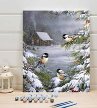 Load image into Gallery viewer, Snow Birds Paint by Numbers - Art Providore