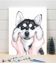 Load image into Gallery viewer, Squishy Husky Cheeks Paint by Numbers - Art Providore