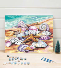 Load image into Gallery viewer, Starfish and Seashells Paint by Numbers - Art Providore
