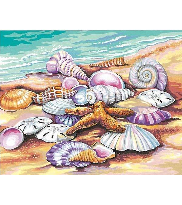 Starfish and Seashells Paint by Numbers - Art Providore