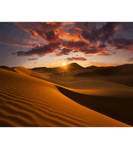 Sunrise Desert Paint by Numbers - Art Providore