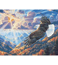 Load image into Gallery viewer, Sunrise Eagle Paint by Numbers - Art Providore
