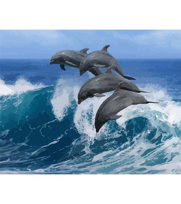 Surfing Dolphins Paint by Numbers - Art Providore