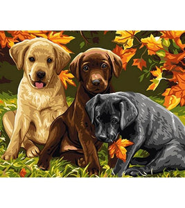 Sweet Puppies Paint by Numbers - Art Providore