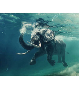 Swimming Elephant Paint by Numbers - Art Providore