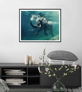 Swimming Elephant Paint by Numbers - Art Providore
