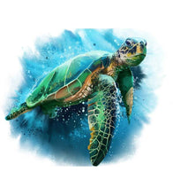 Load image into Gallery viewer, Swimming Sea Turtle Paint by Numbers - Art Providore