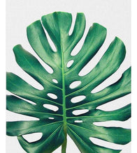 Load image into Gallery viewer, The Monstera Leaf Paint by Numbers - Art Providore