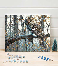 Load image into Gallery viewer, The Wise Owl Paint by Numbers - Art Providore