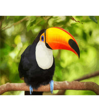 Load image into Gallery viewer, Toco Toucan Paint by Numbers - Art Providore