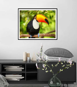 Toco Toucan Paint by Numbers - Art Providore