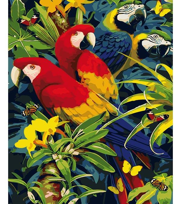 Tropical Parrots Paint by Numbers - Art Providore