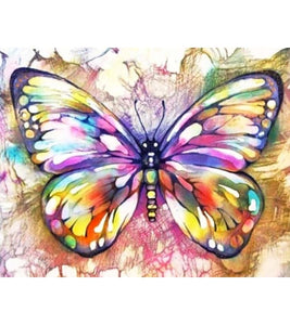 Vibrant Butterfly Paint by Numbers - Art Providore