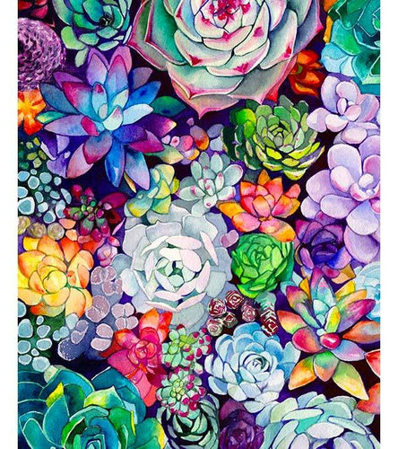 Vibrant Succulents Paint by Numbers - Art Providore