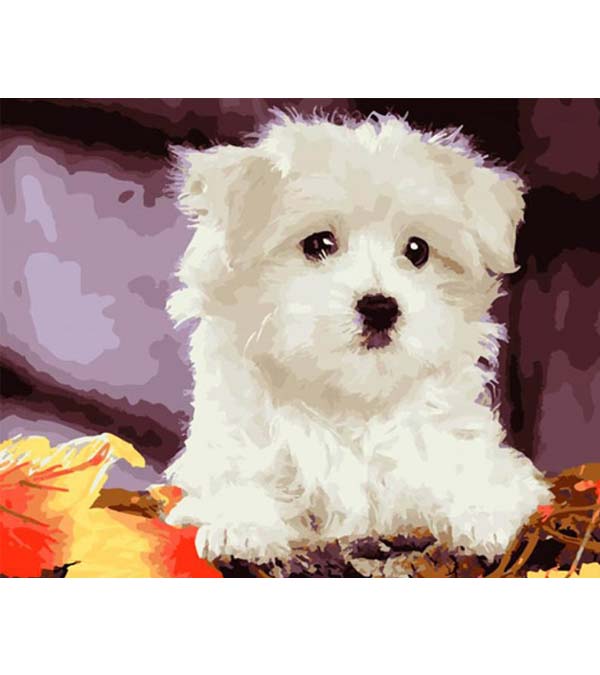 White Puppy Paint by Numbers - Art Providore