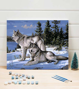 White Wolves Paint by Numbers - Art Providore