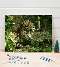 Load image into Gallery viewer, Wild Jaguar Paint by Numbers - Art Providore