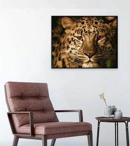 Wild Leopard Paint by Numbers - Art Providore