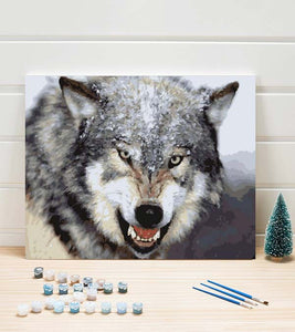 Wild Snow Wolf Paint by Numbers - Art Providore