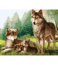 Load image into Gallery viewer, Wolf Family Paint by Numbers - Art Providore
