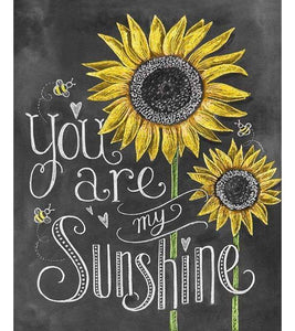 You Are My Sunshine Paint by Numbers - Art Providore