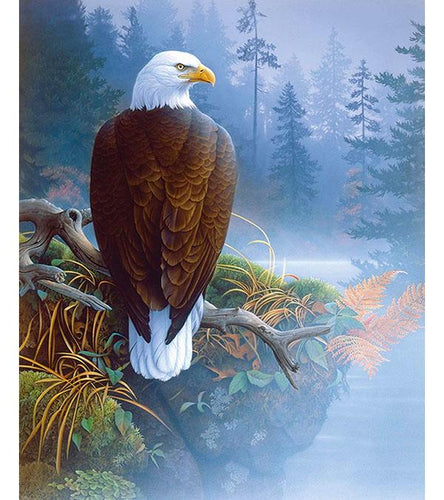 Bald Eagle in Mist Paint with Diamonds - Art Providore