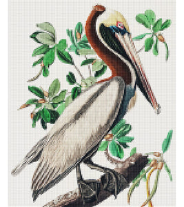 Brown Pelican Paint with Diamonds - John James Audubon - Art Providore