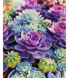 Colourful Succulents Paint with Diamonds - Art Providore