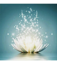 Load image into Gallery viewer, Dazzling Lotus Flower Paint with Diamonds - Art Providore