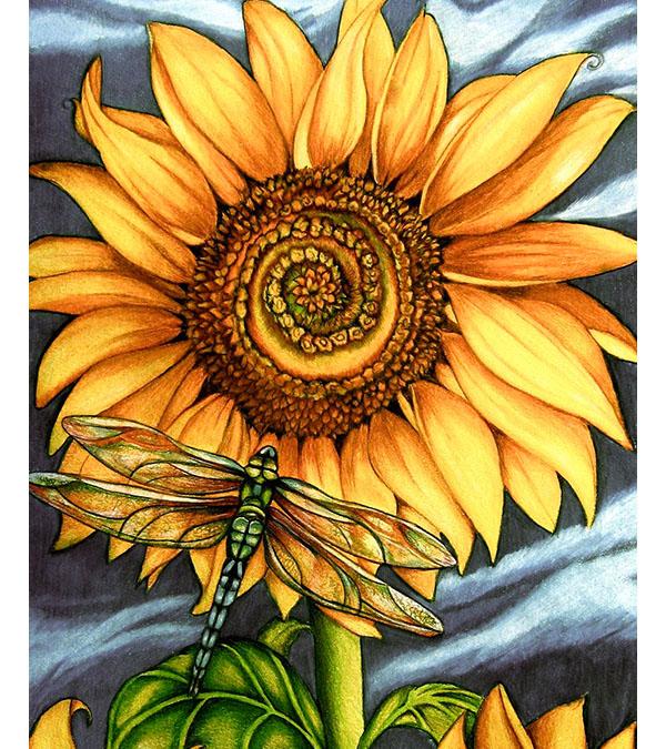 Dragonfly and Sunflower Paint with Diamonds - Art Providore