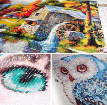 Load image into Gallery viewer, Flying Owl Paint with Diamonds - Art Providore