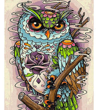 Load image into Gallery viewer, Flamboyant Owl Paint with Diamonds - Art Providore