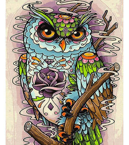 Flamboyant Owl Paint with Diamonds - Art Providore