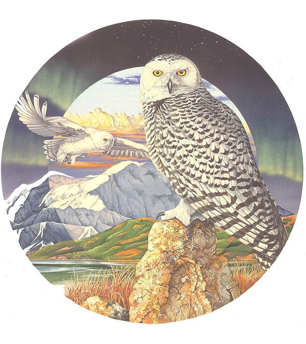 Flying Owl Paint with Diamonds - Art Providore