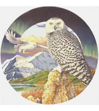 Load image into Gallery viewer, Flying Owl Paint with Diamonds - Art Providore