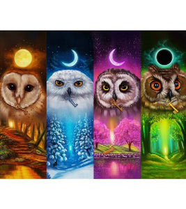 Four Seasons Owl Paint with Diamonds - Art Providore
