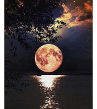 Load image into Gallery viewer, Full Flower Moon Paint with Diamonds - Art Providore
