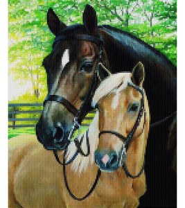 Gentle Horses Paint with Diamonds - Art Providore