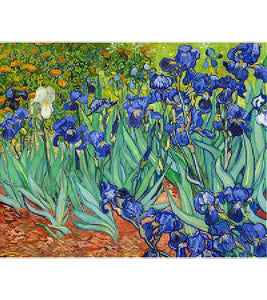 Irises Paint with Diamonds - Vincent van Gogh - Art Providore