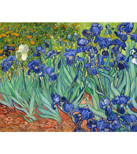 Irises Paint with Diamonds - Vincent van Gogh - Art Providore